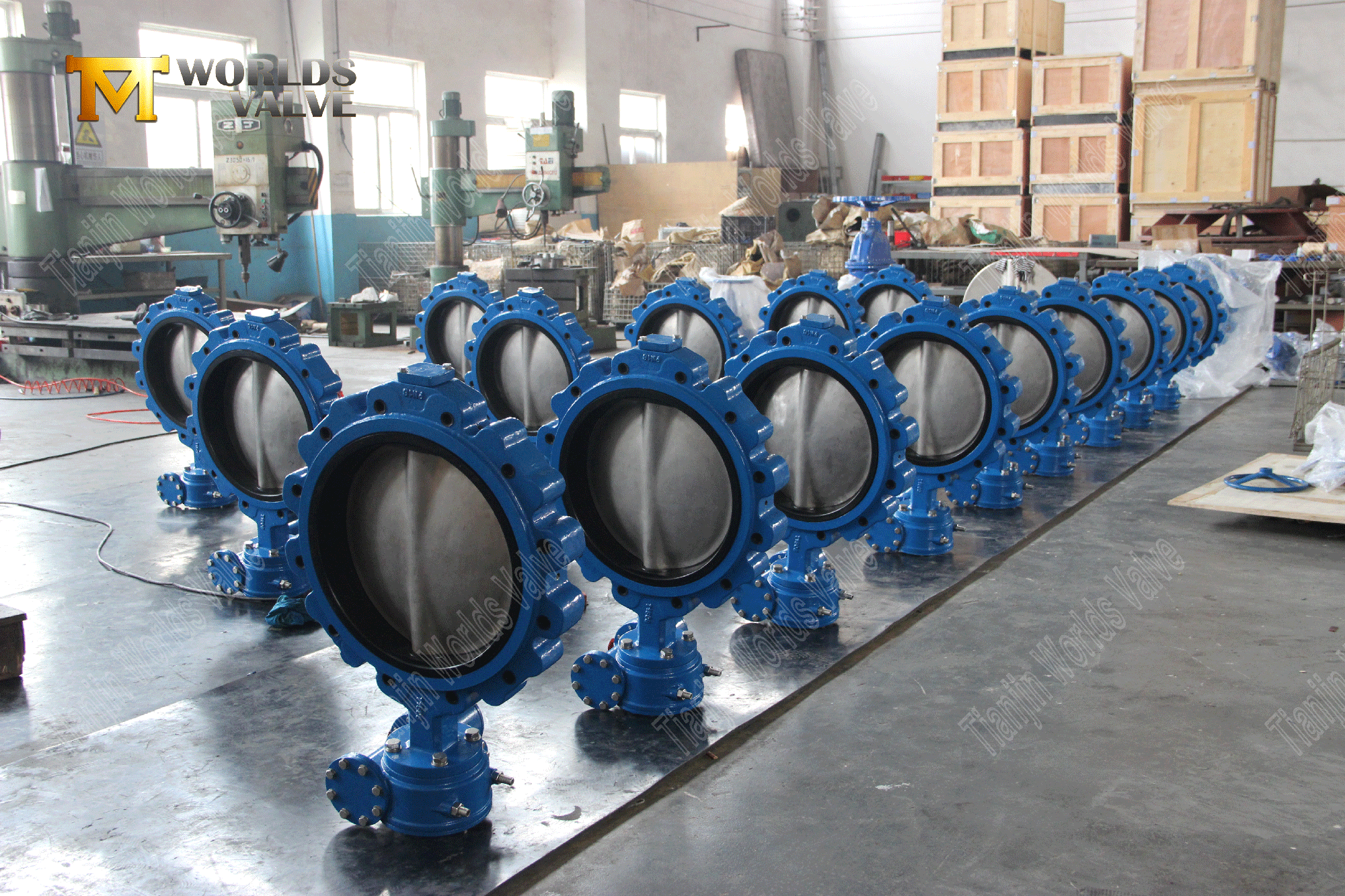 EPDM Seat Lug Butterfly Valves EPDM -stoel Di Lug Butterfly -klep met wormwiel