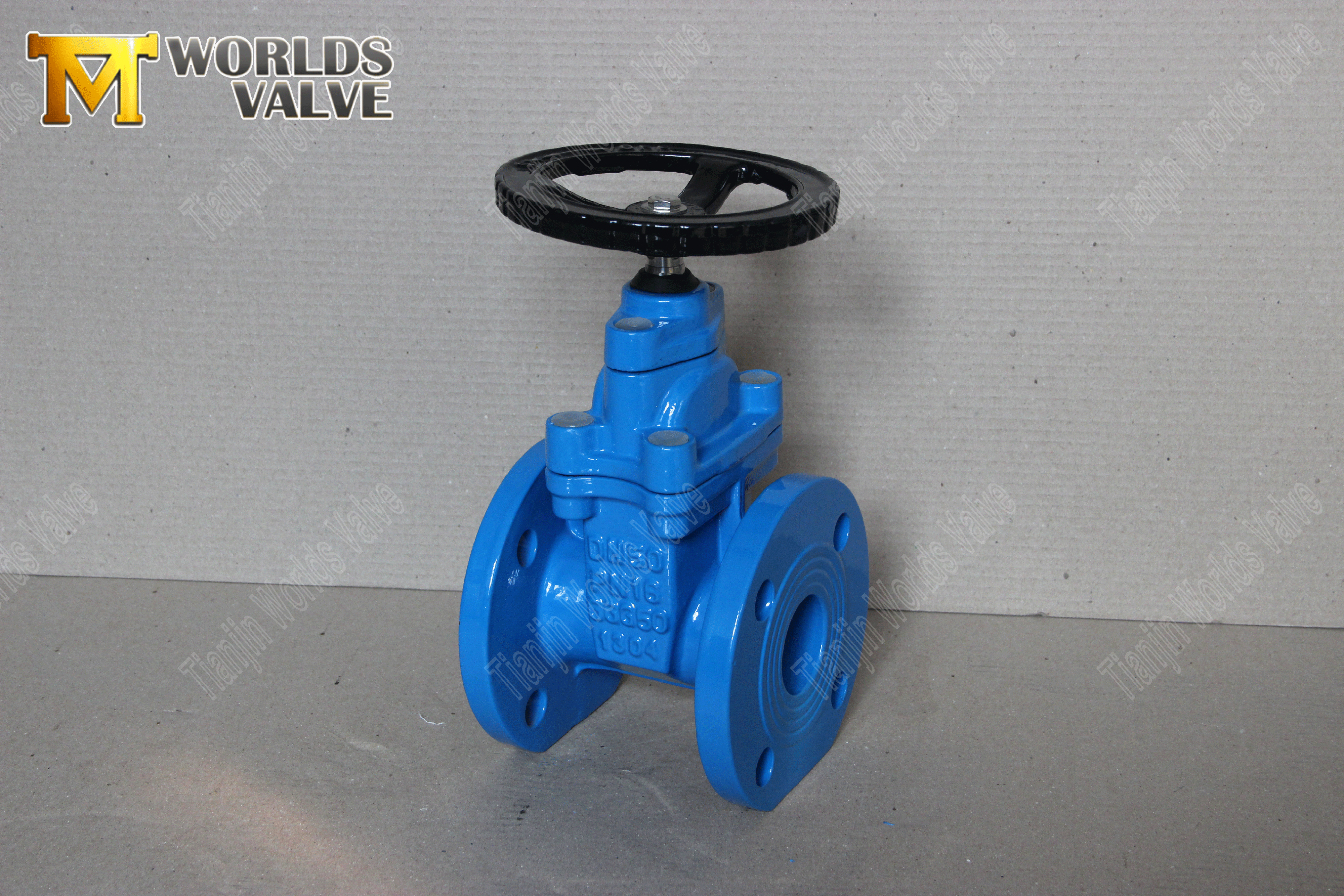 Gate Valve Supplied by Tianjin Worlds Valve AWWA-C509-GATE-VALVE-With-Resilient-Site