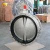 Dubbele flens vlinderklep met volledige SS Body & Disc | Corrosiebestendige industriële oplossing
