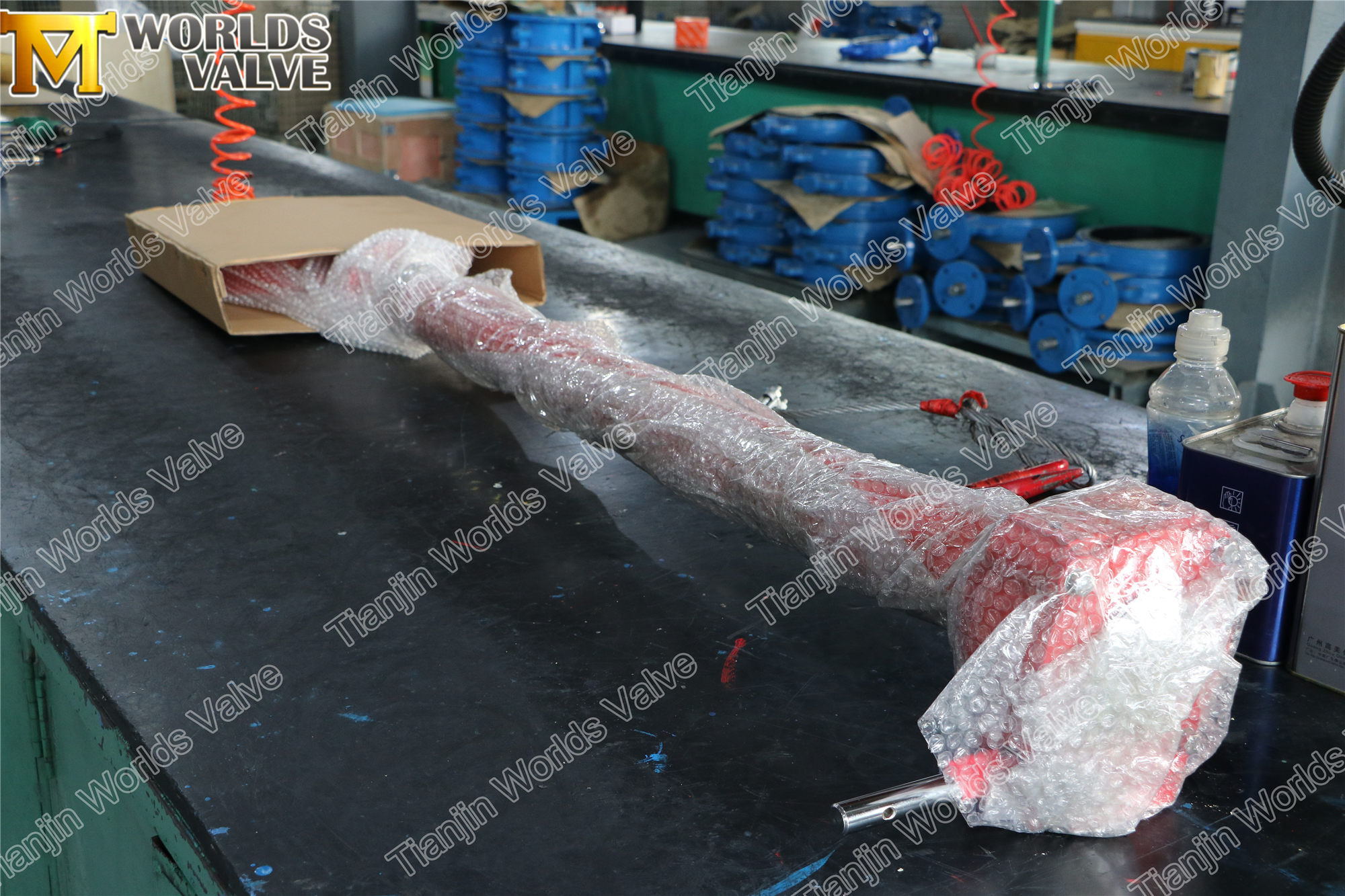 PTFE gevoerde vlinderklep met extensiestam (2)