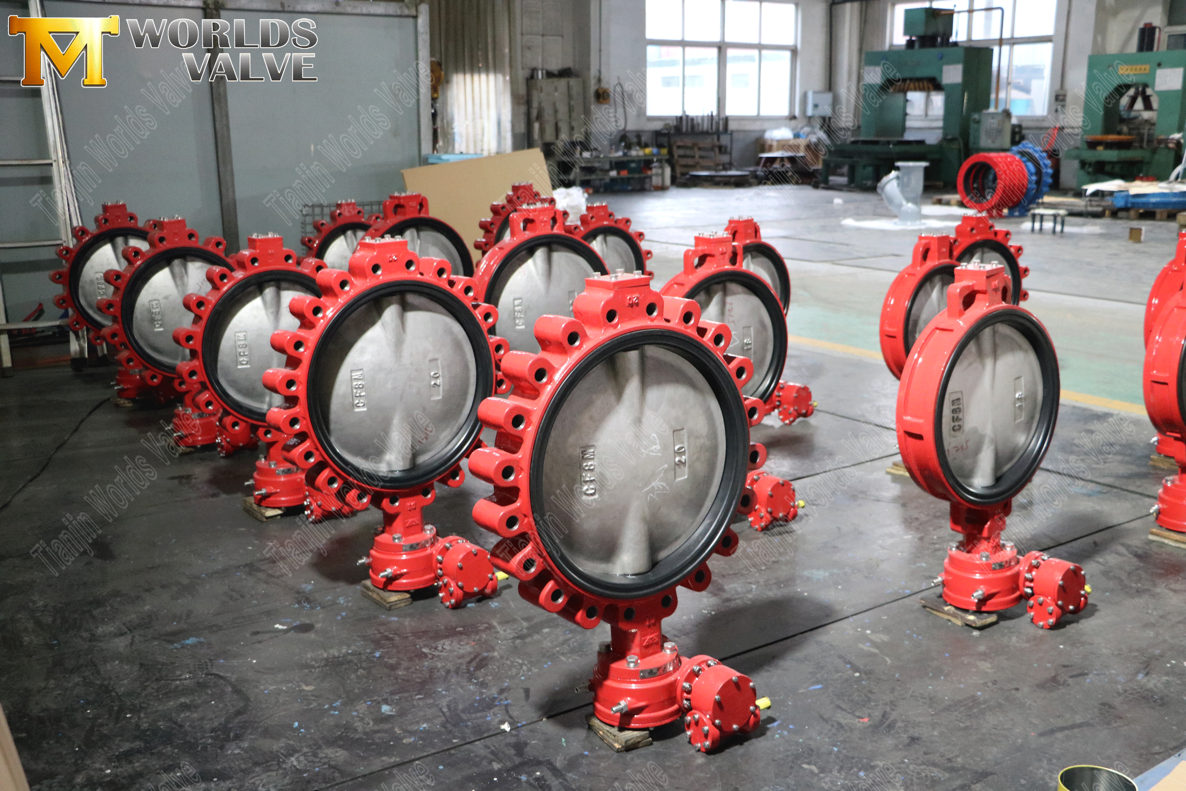 Concentrische vlinderklep Leveranciers - Lug -type vlinderklep met EPDM -stoel (12)