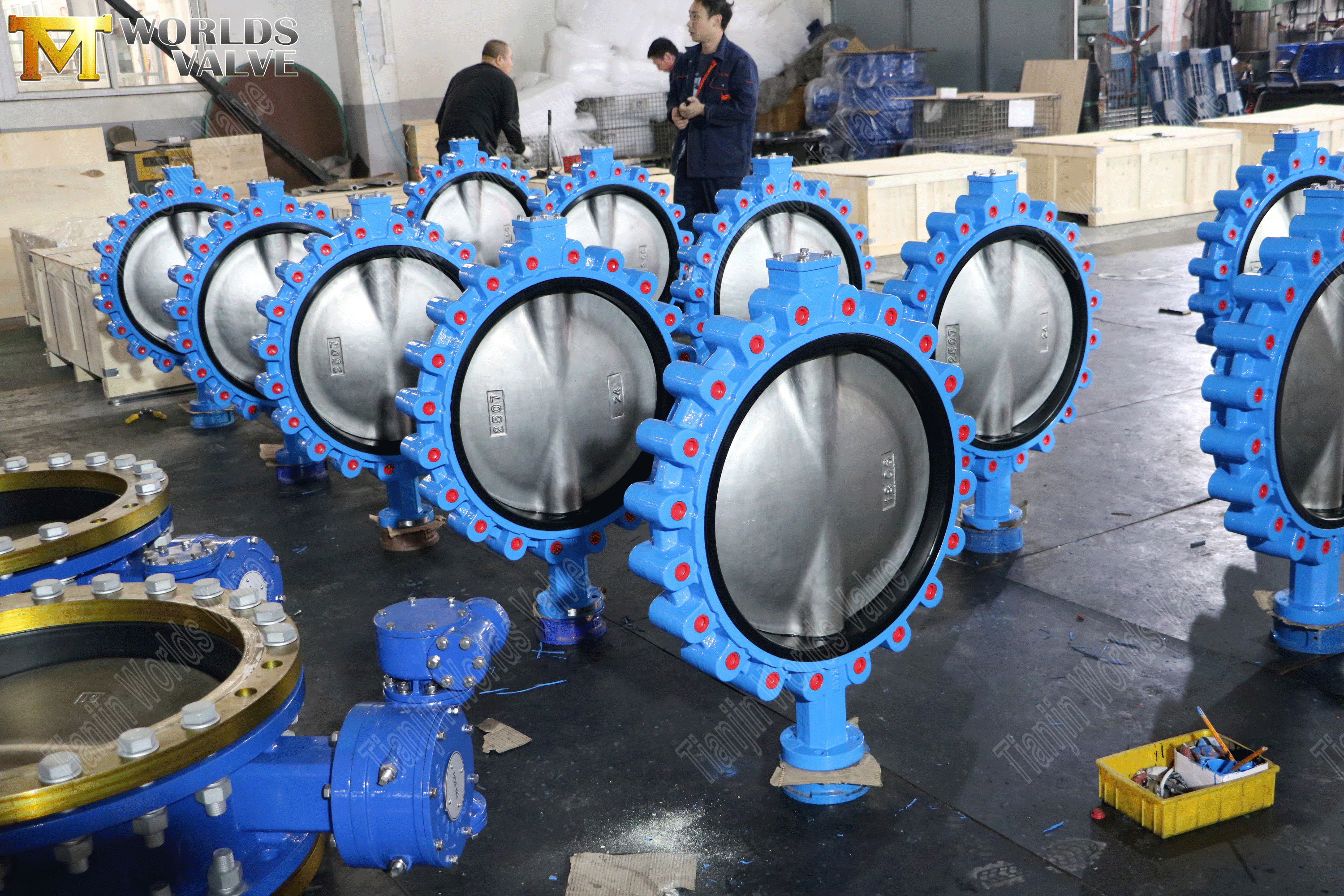 Lug concentrische vlindergavels met wormwieloperator (5)