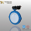 Vleugelklep met PTFE-coating met volledige lugs Tweedelige behuizing API609