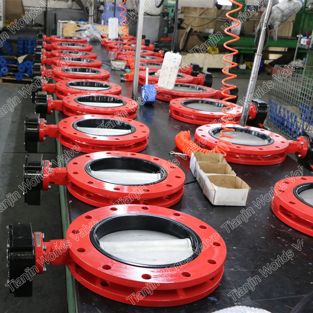 Concentrische lijn gevulkaniseerde gebonden stoel Butterfly Valve FBE Double Flens U-sectie