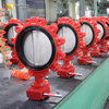Lug-type vlinderklep met vervangbare EPDM-zitting | DI-body CF8M-schijf | OEM-leverancier