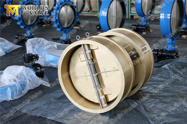 Aluminium bronzen dubbele deur terugslagkleppen