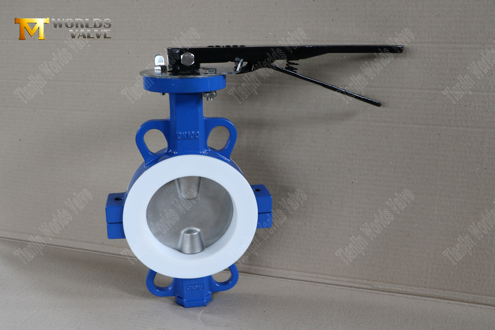 DN100-Teflon-gevoerde-wafer-split-body-butterfly-valves-Corrosie-resistent-flow-Control- (1)