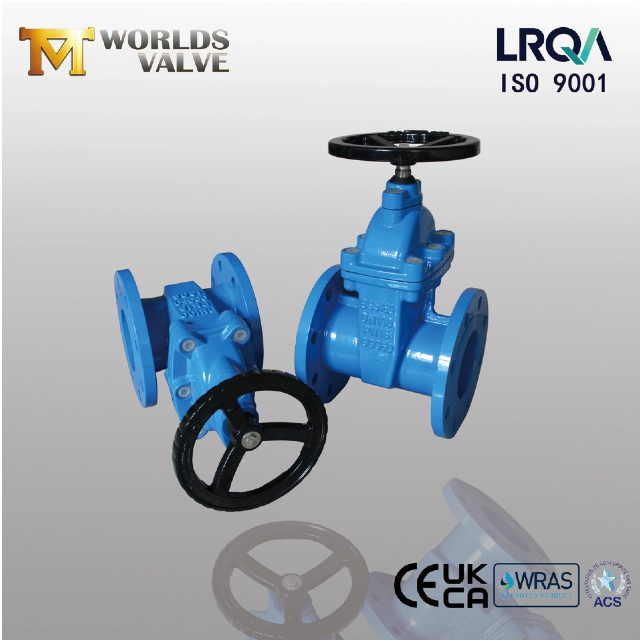 Onderzoek naar de typen en speciale kenmerken van ResilientSeatedGateValves