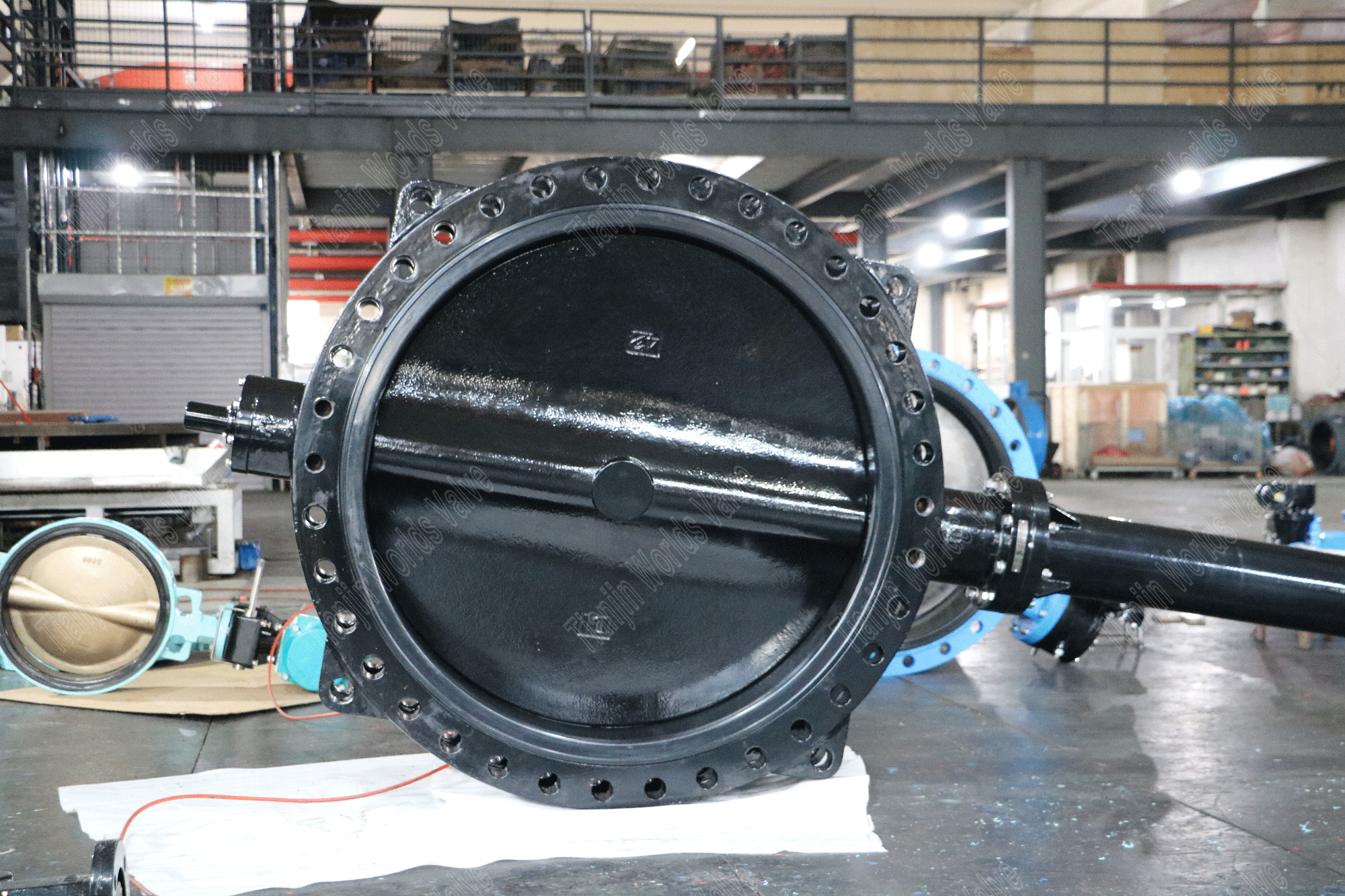 DI DISC met nylon gecoate vlinderklep met verlengingsspil (2)