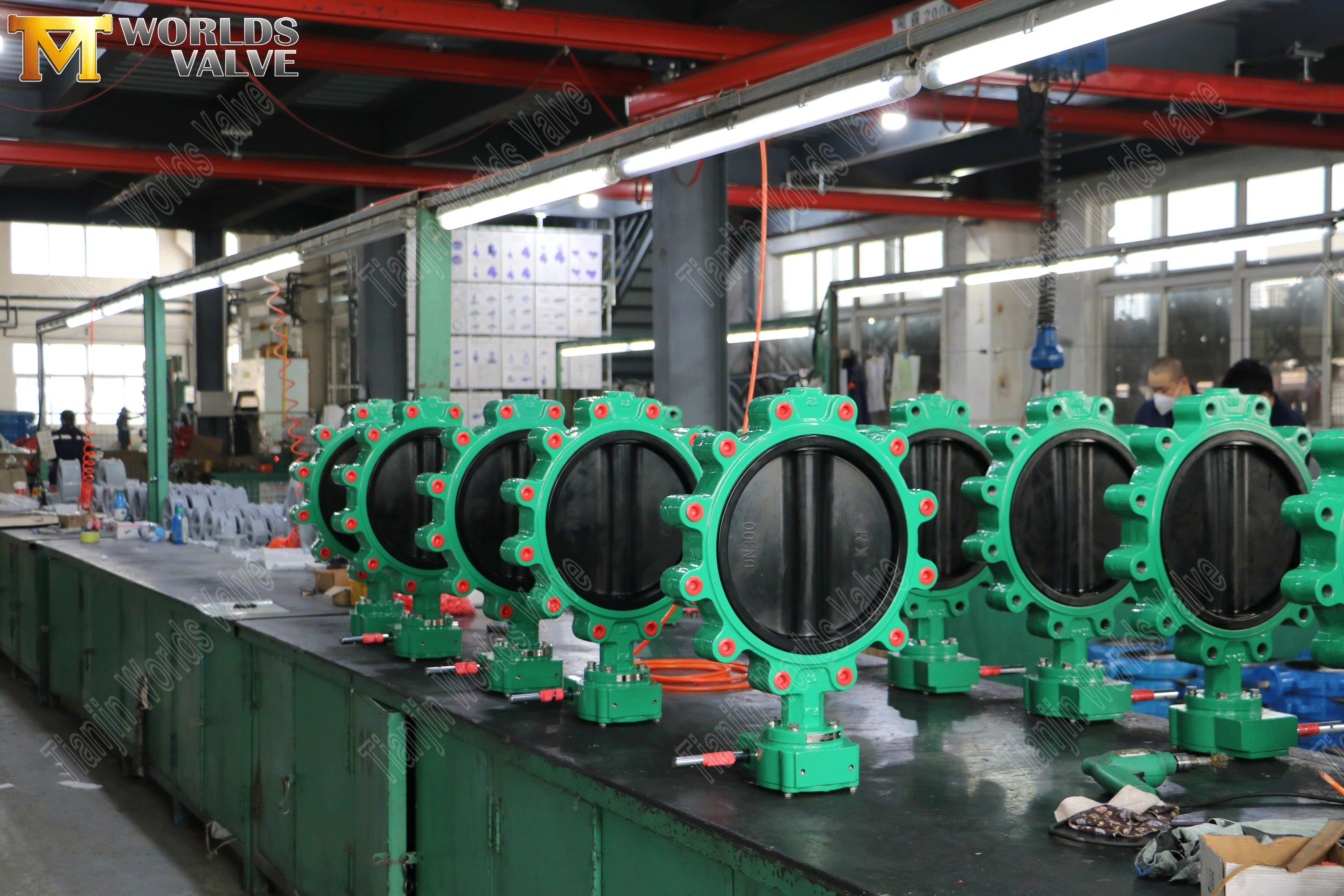 Lug concentrische vlindergolven met wormwieloperator (7)