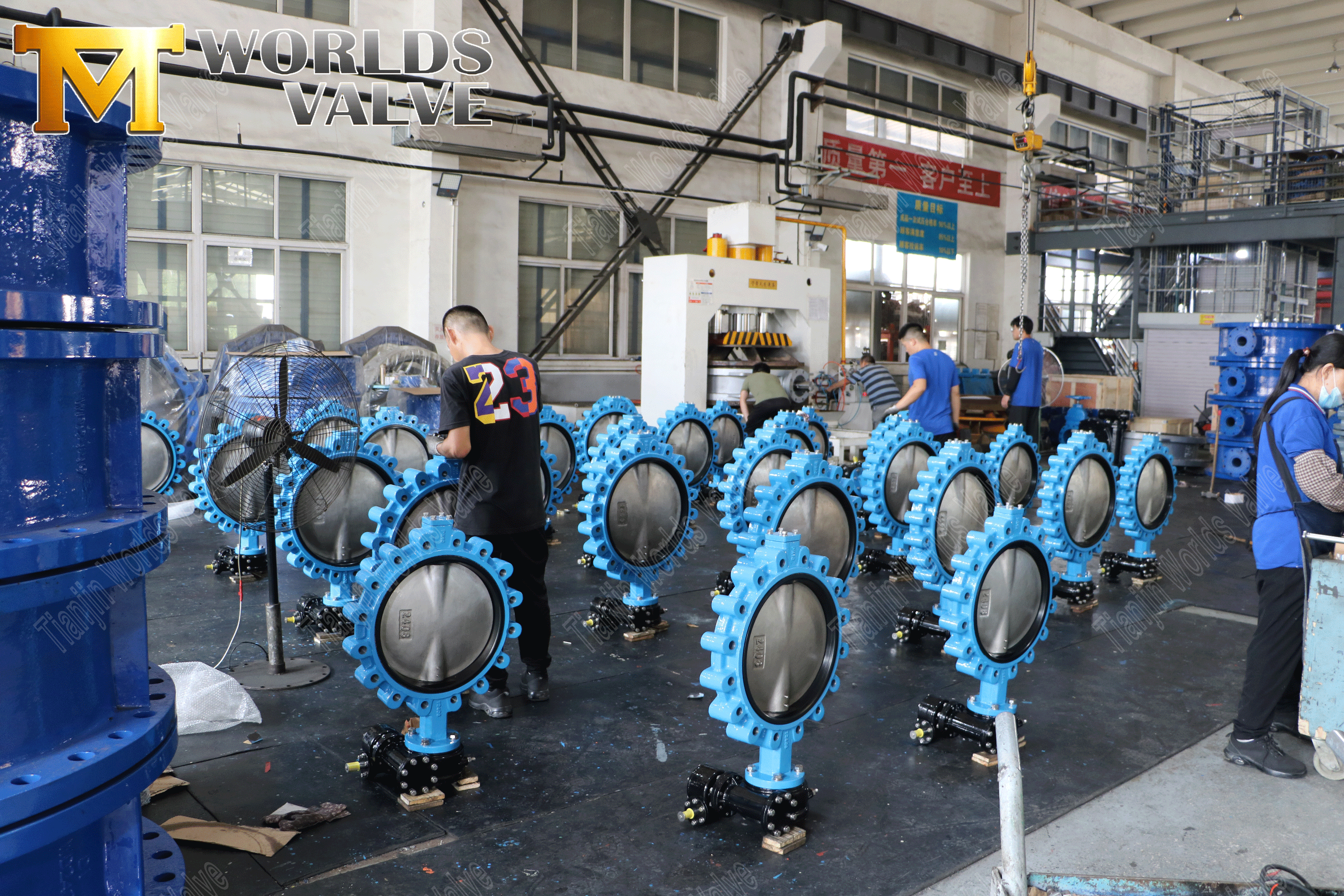 Concentrische vlinderklep fabrikanten-lug type vlinderventiel met hendelgreep (9)