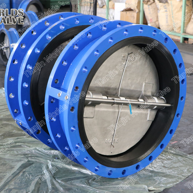 Volledige rubberen omzoomde terugslagklep met dubbele flenzenverbinding