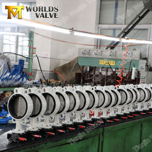 Versnellingsbak CF8M DISC Butterfly Klep Food Grade met ACS goedgekeurd