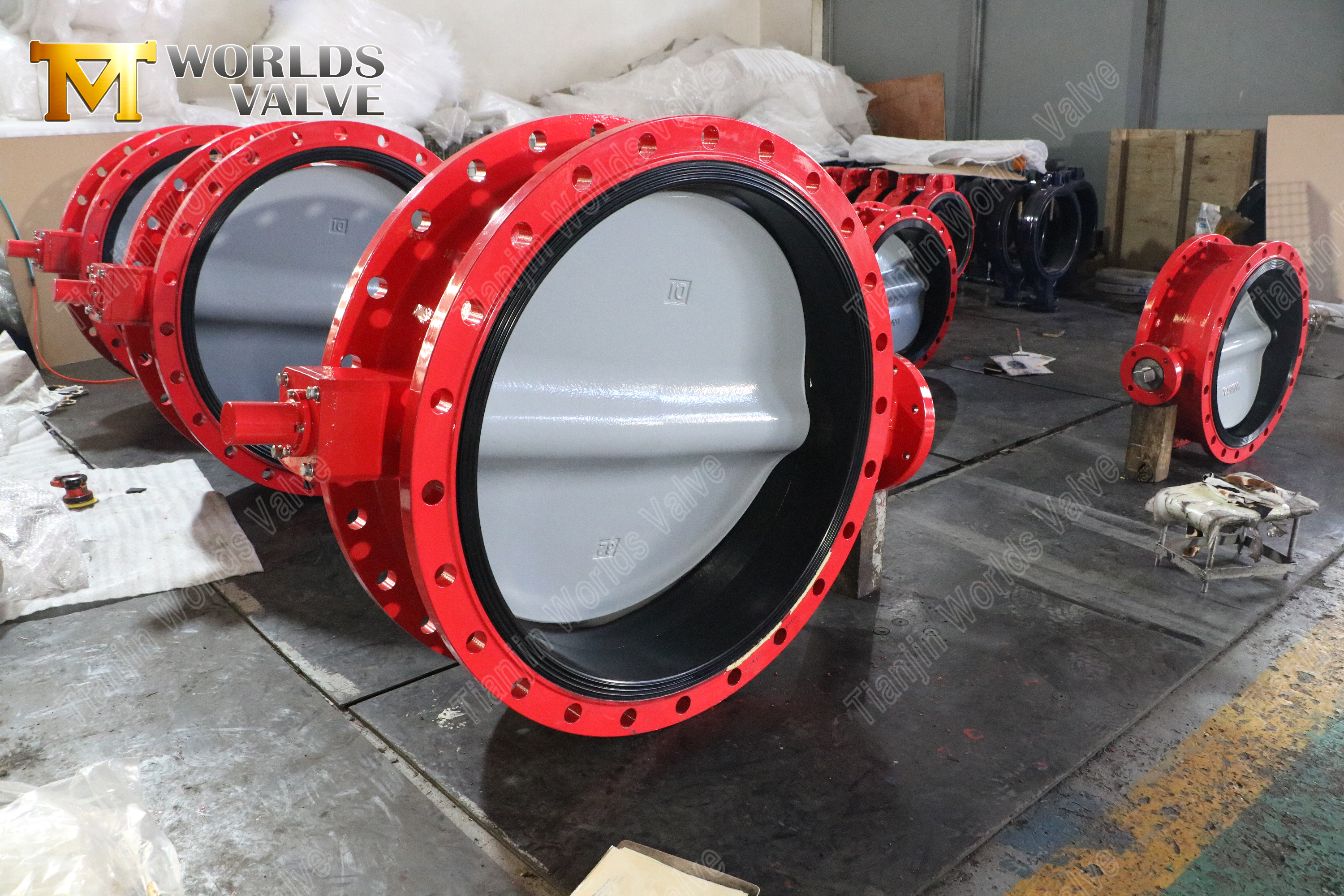 Dubbelflensvlinderklep met nylon gecoate DI-schijf (9)