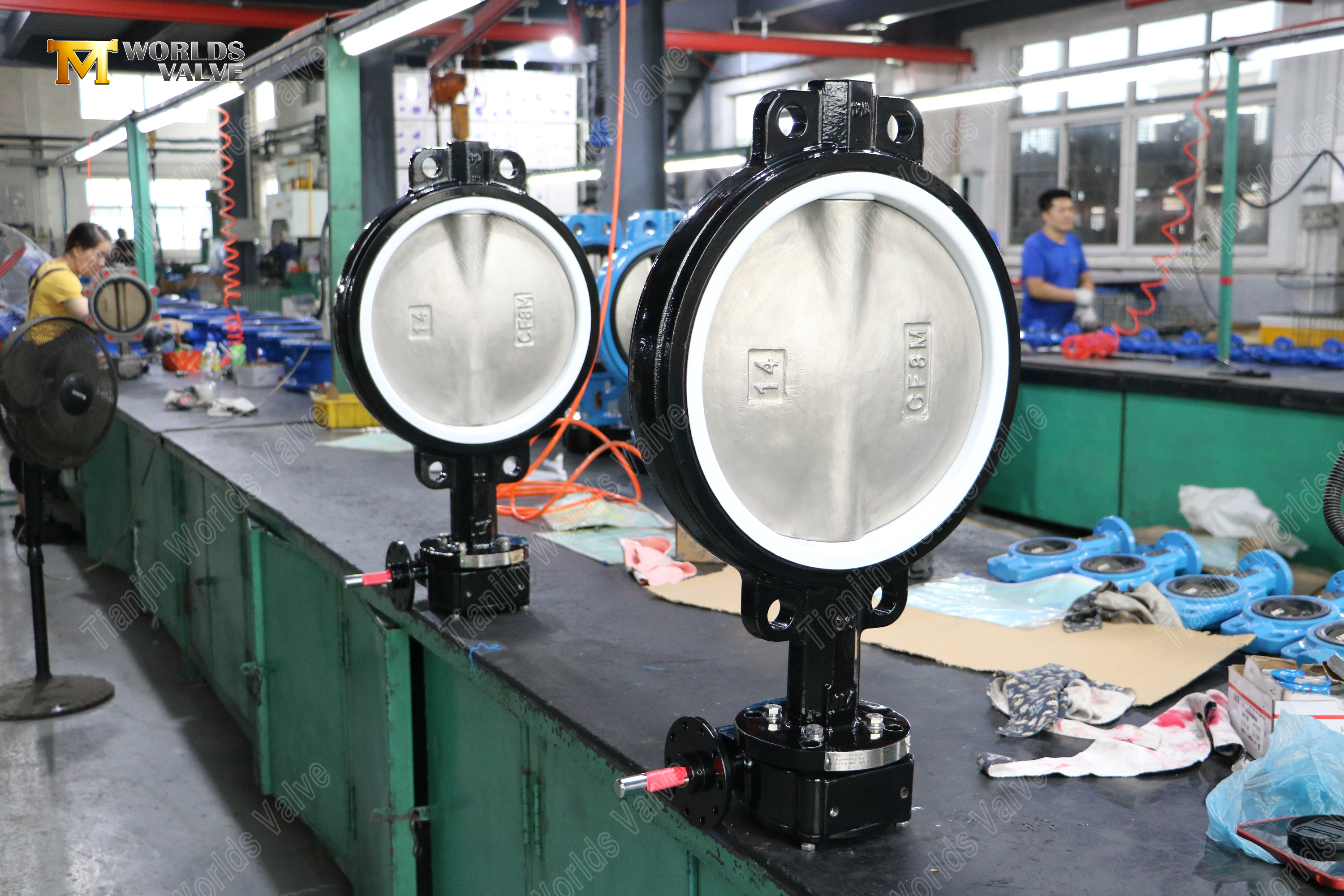 Nodulair gietijzer Wafer vlinderklep met PTFE zitting en CF8M schijf (8).jpg