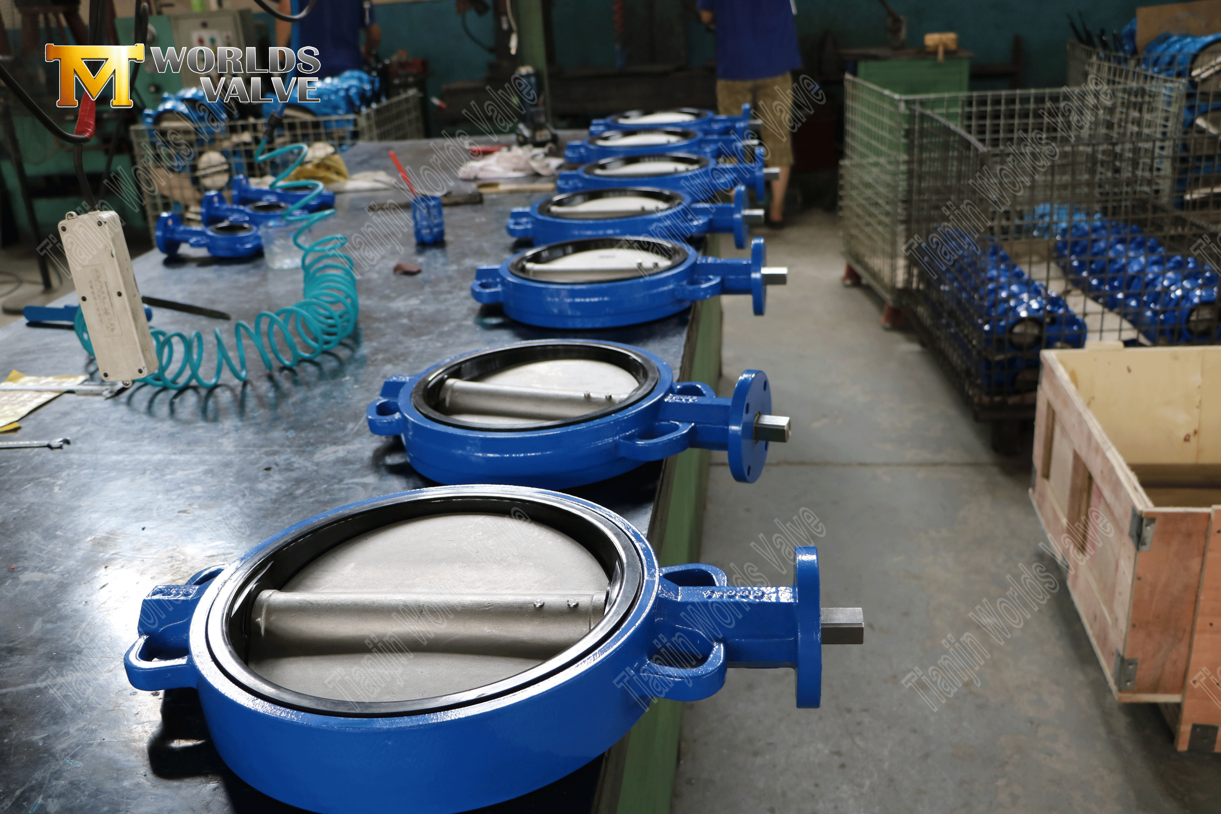 Wormwielwerken Wafer type vlinderventiel met rubber bekleed (3)