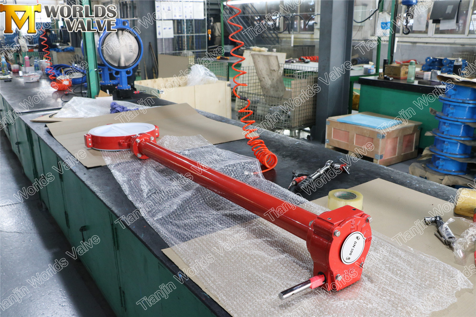 PTFE gevoerde vlinderklep met extensiestam (3)