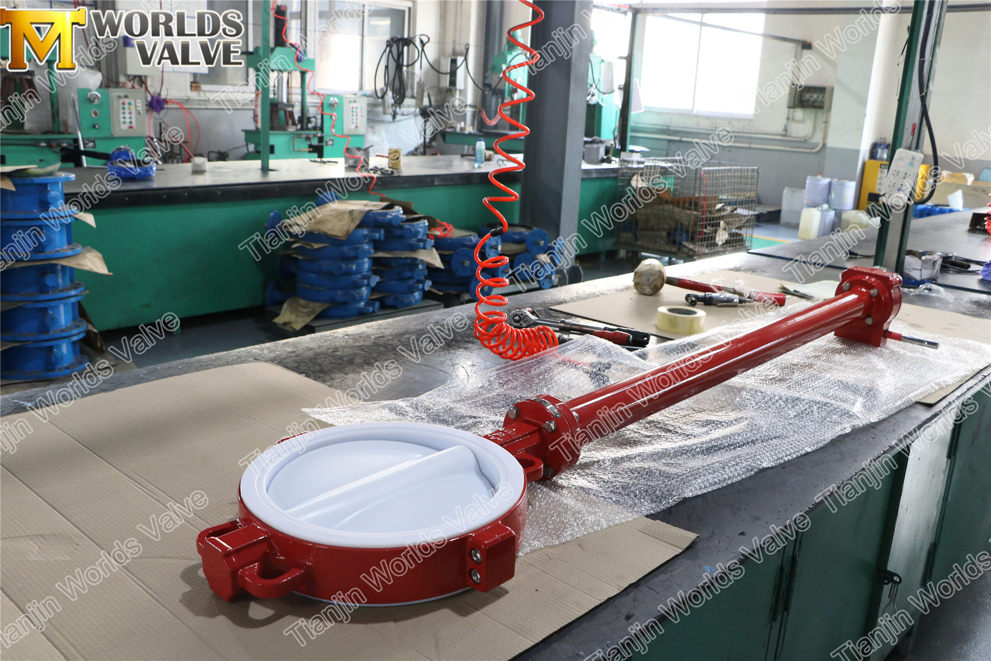 PTFE gevoerde vlinderklep met extensiestam (4)