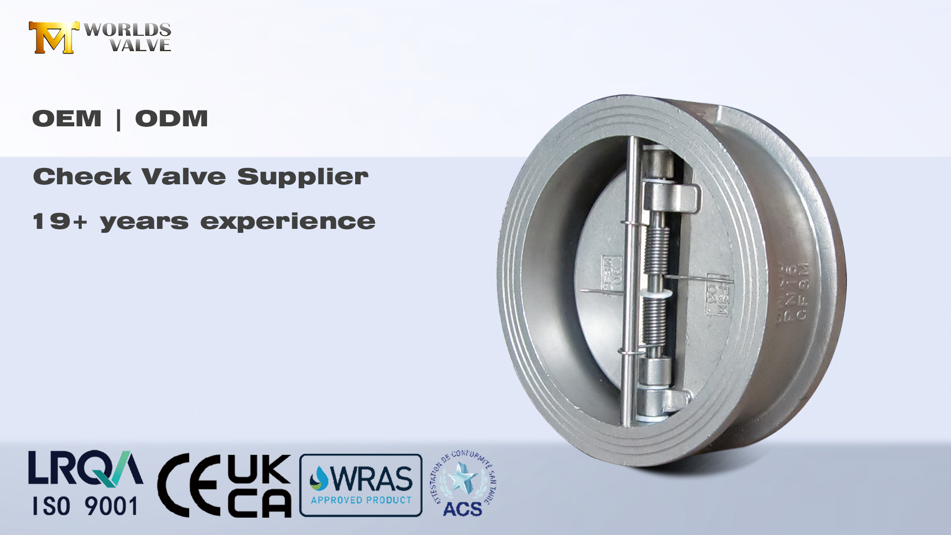 Terugslagkleppen: essentiële terugstroompreventie voor industriële systemen | Werelden klep