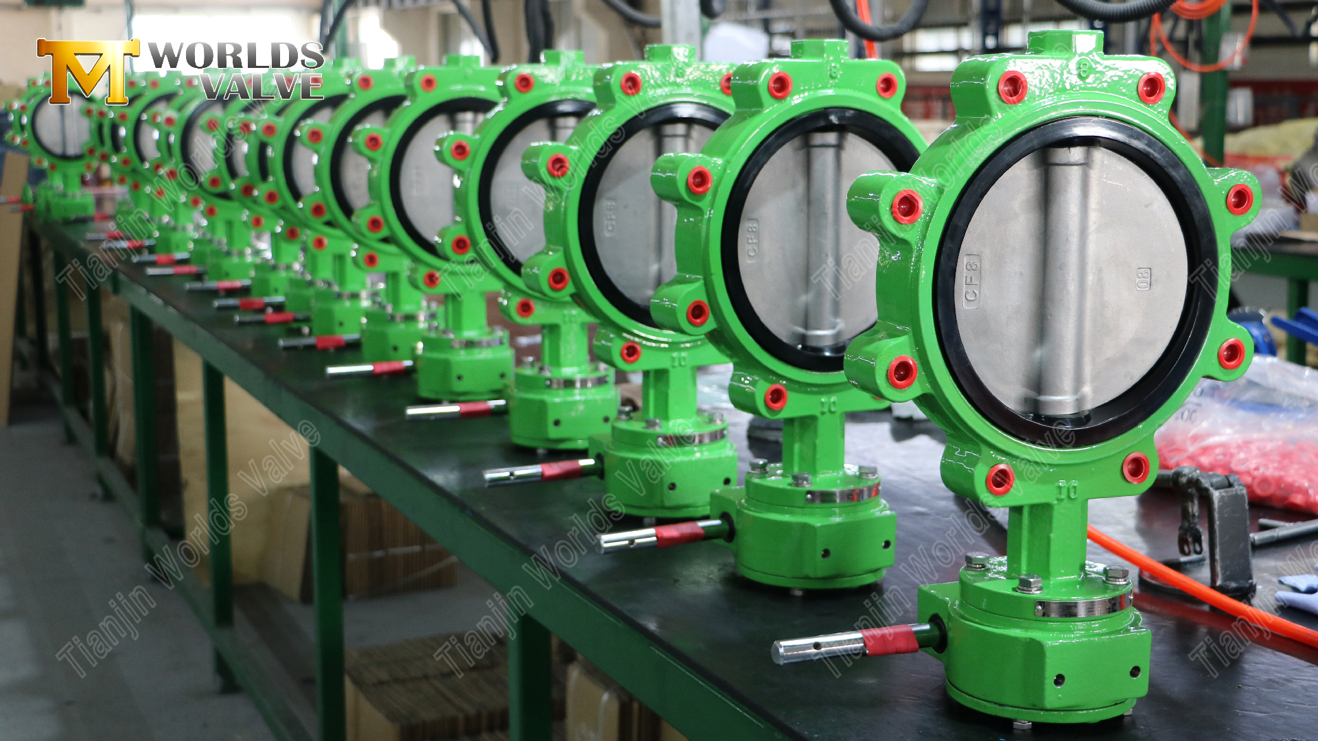 PN16-LUG-vlinderklep-nodulair gietijzer-lichaam-&-CF8M-schijf-7