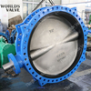 AWWAC504 Standaard ASME B16.47 Dubbele Flens Einden Butterfly Valve 150/175 / 250PSI