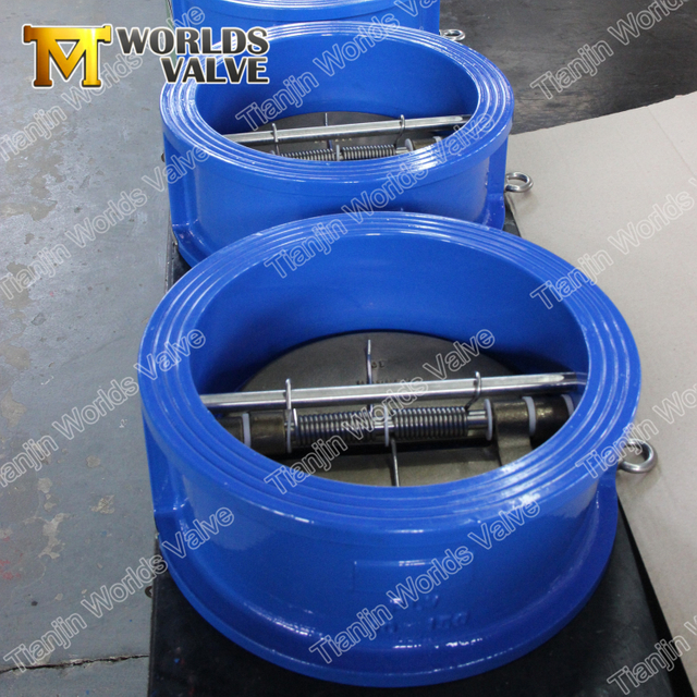 Wafer dubbele plaat veerkrachtige zittende terugslagklep