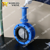 Extension Long Stem Dubbele Flens Butterfly Valve met Gear-operator