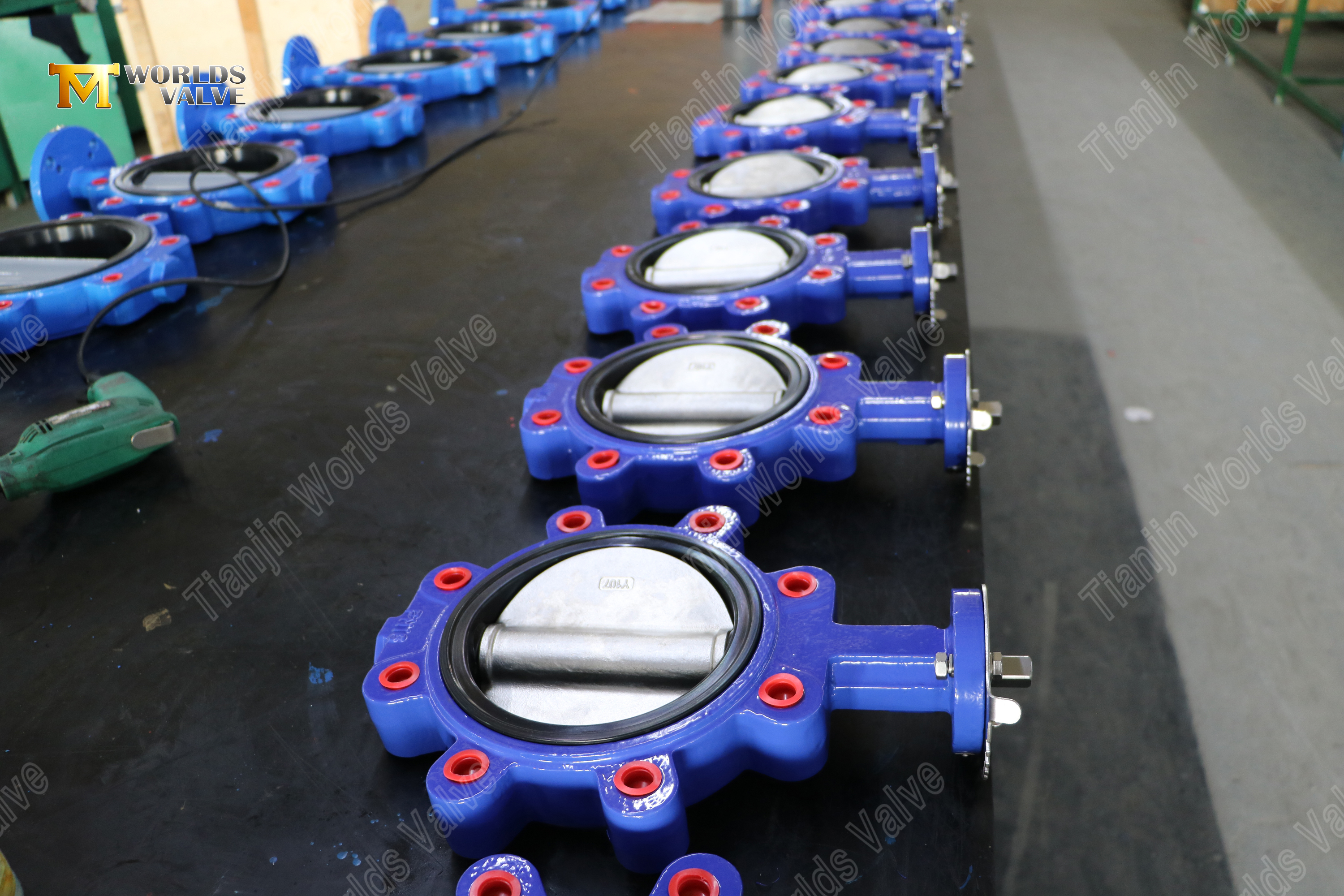 Lug-type vlinderklep met vervangbare EPDM-zitting DI-lichaam CF8M-schijf OEM-leverancier (9)