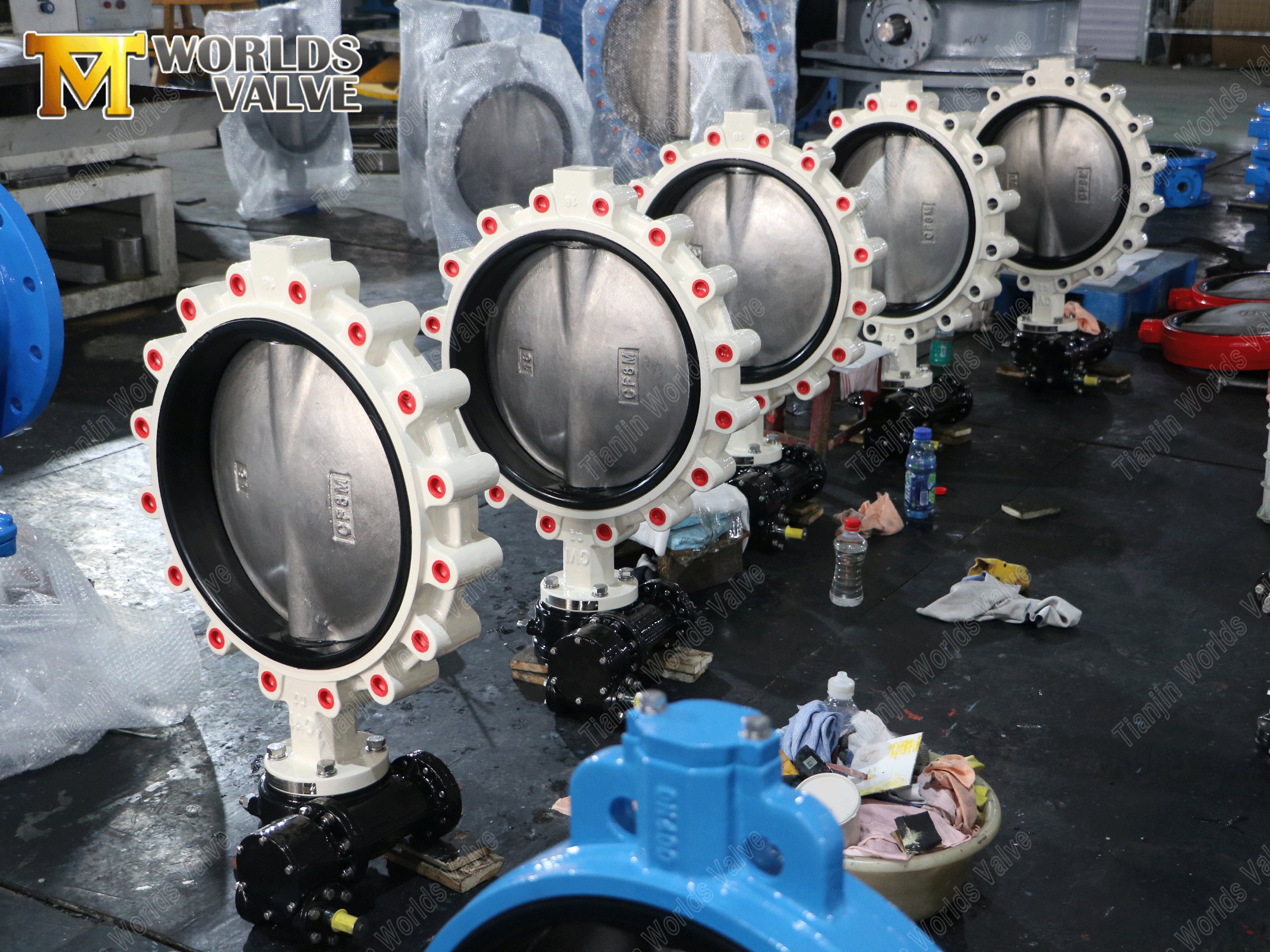 Wormwielwiel Type vlinderklep-1