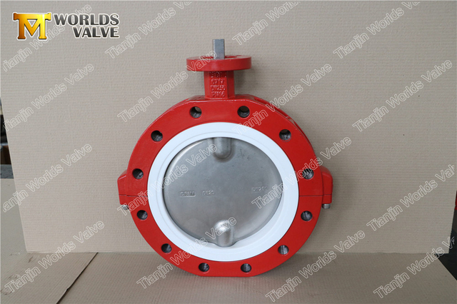 Split Body Lugged CF8M CF8 RVS Disc PTFE Vlinderklep