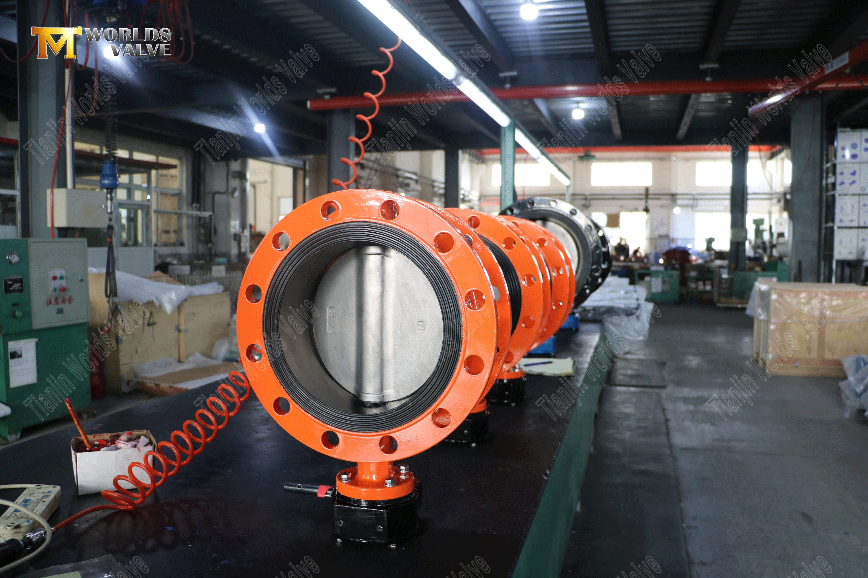 China Butterfly Valve Fabrikant - Ductiele ijzeren lichaam en duplex roestvrijstalen schijf (4)