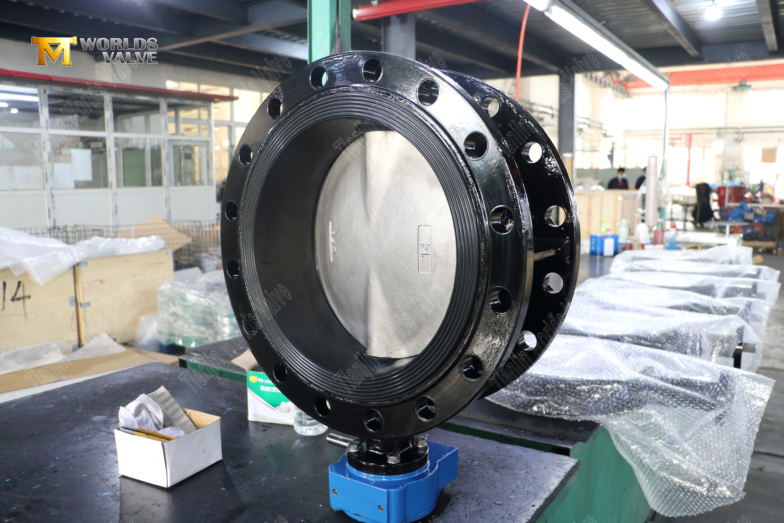 China Butterfly Valve Fabrikant - Ductiele ijzeren lichaam en duplex roestvrijstalen schijf (1)
