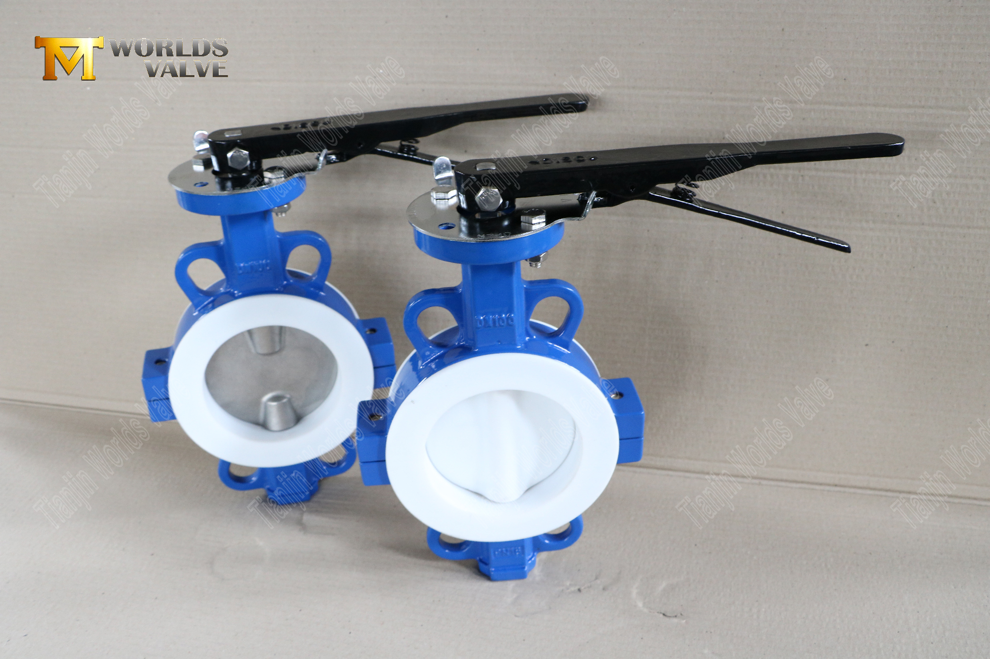 DN100-Teflon-gevoerde-wafer-split-body-butterfly-valves-Corrosie-resistent-flow-Control- (2)