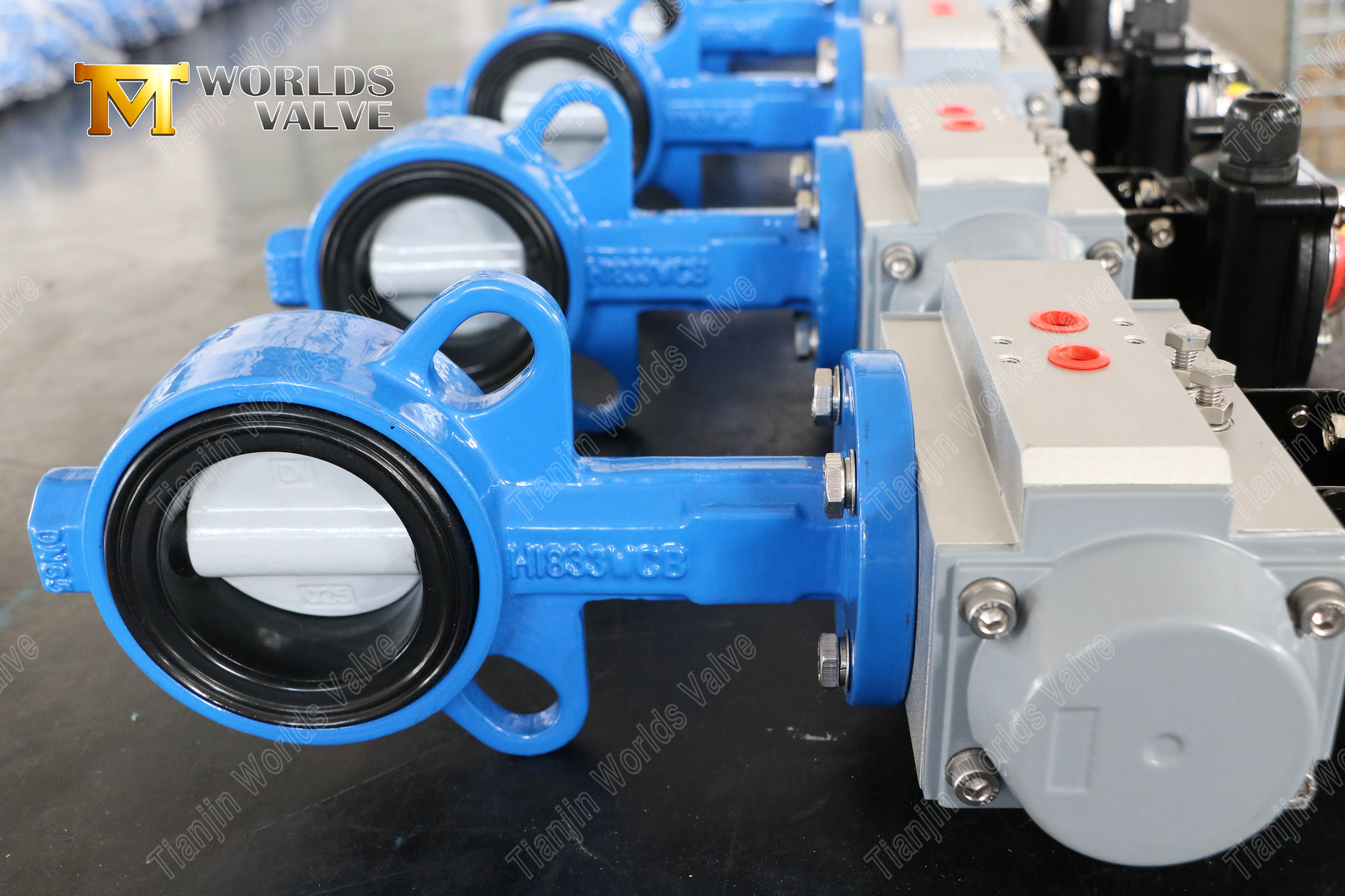 Wafer vlinderklep met nylon gecoate schijf en WCB lichaam kosteneffectieve corrosieweerstand-1 (3)