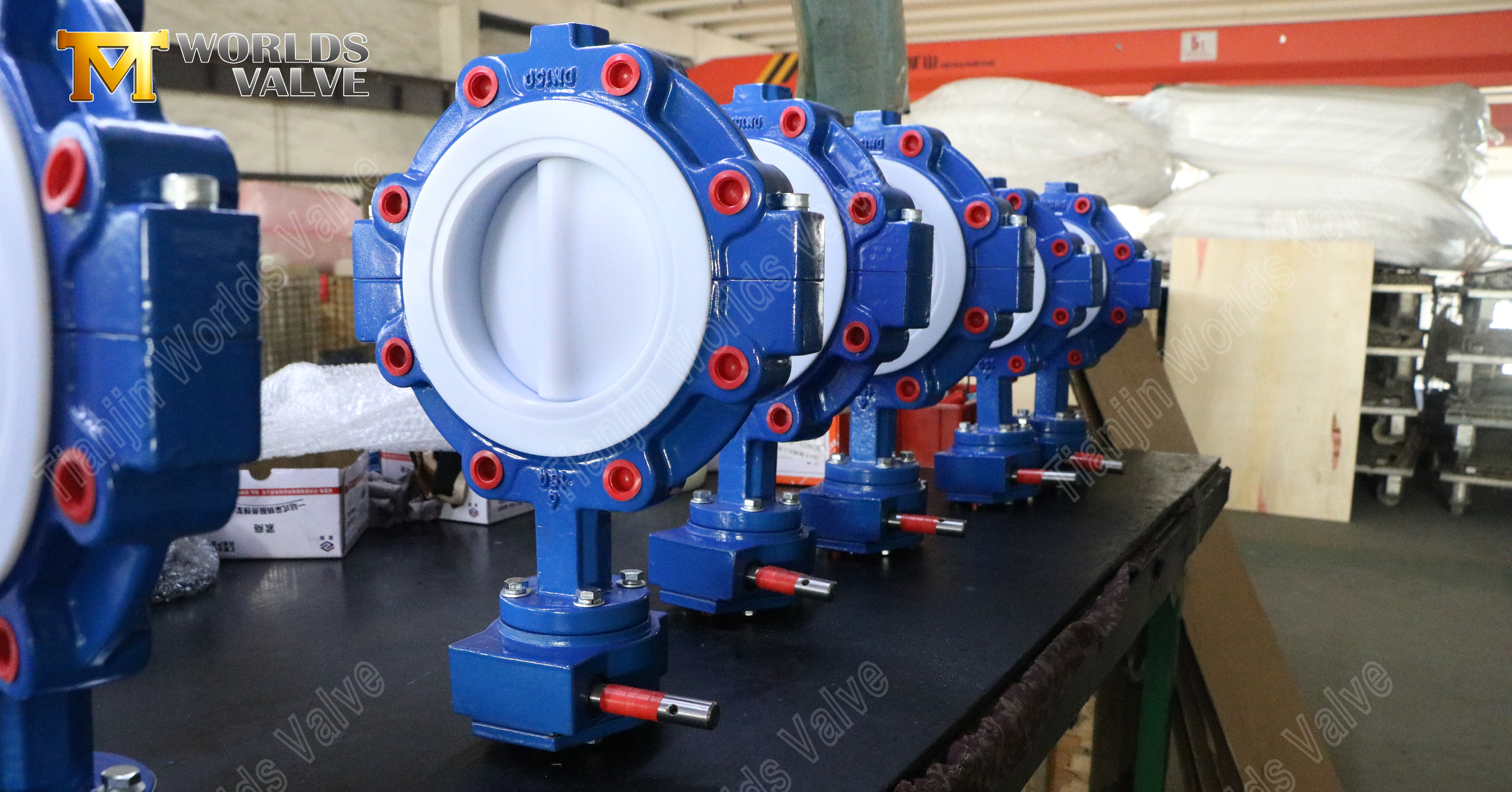 Split-body Teflon vlinderkleppen met afgedichte nokken (1)