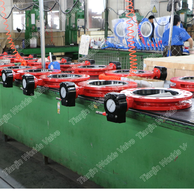 Concentrische lijn gevulkaniseerde gebonden stoel Butterfly Valve FBE Double Flens U-sectie