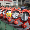 Nylon11 Schijfschijf Gerangschikte en Taped Type Butterfly Valve