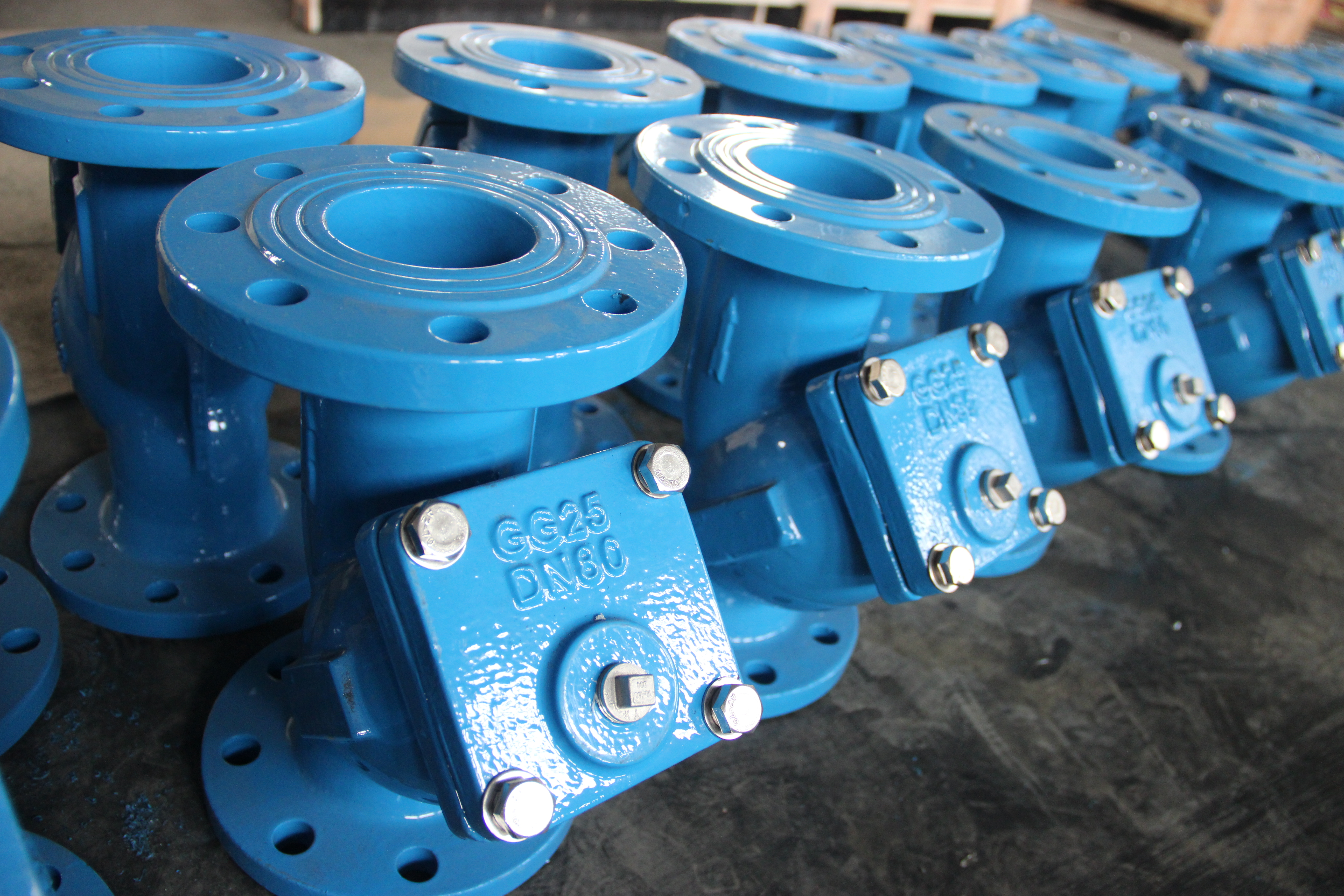 DN80 Y-type zeef Nodulair gietijzeren lichaam Flensaansluiting Industri&euml;le pijpleidingbescherming (3).JPG