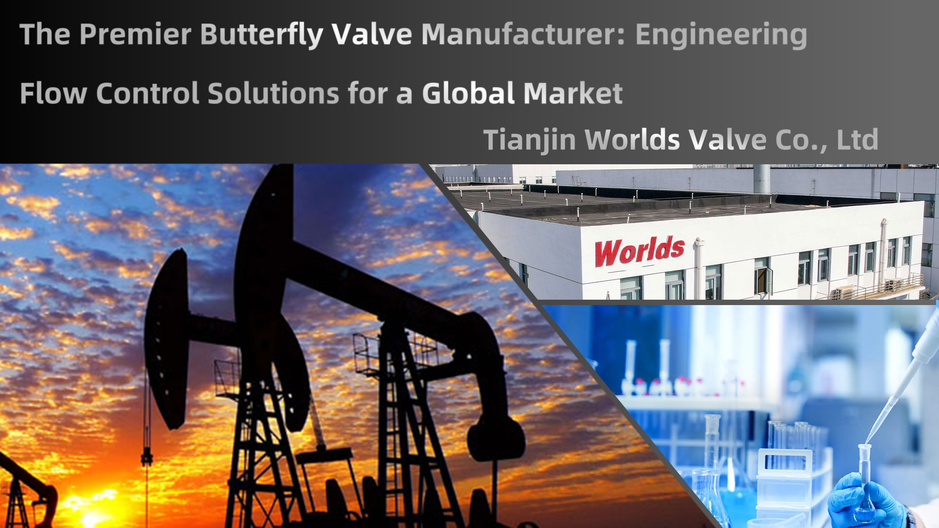 De voornaamste fabrikant van vlinderkleppen: technische oplossingen voor debietregeling voor een mondiale markt | Tianjin Werelden Valve Co., Ltd.