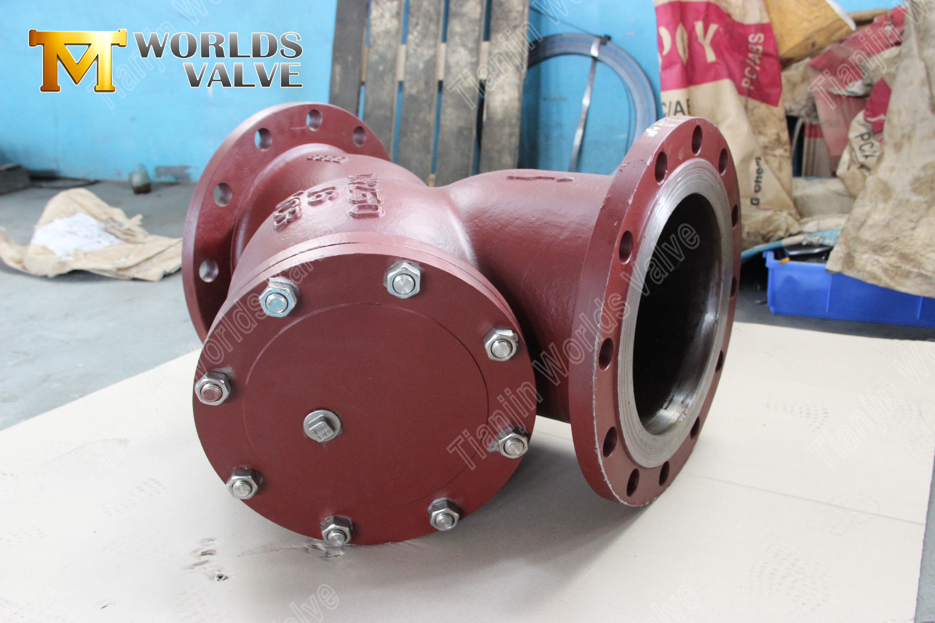 Van een flens voorzien Y-type Zeef WCB Bescherming van de koolstofstaal industri&euml;le pijpleiding (8)