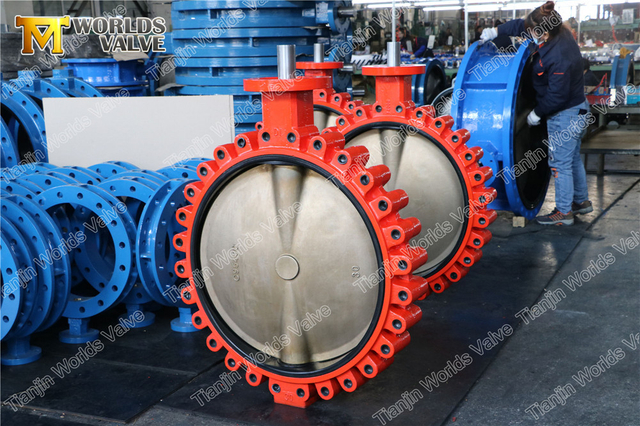 DN750 30 inch Lug vlinderklep met aluminium bronzen schijf