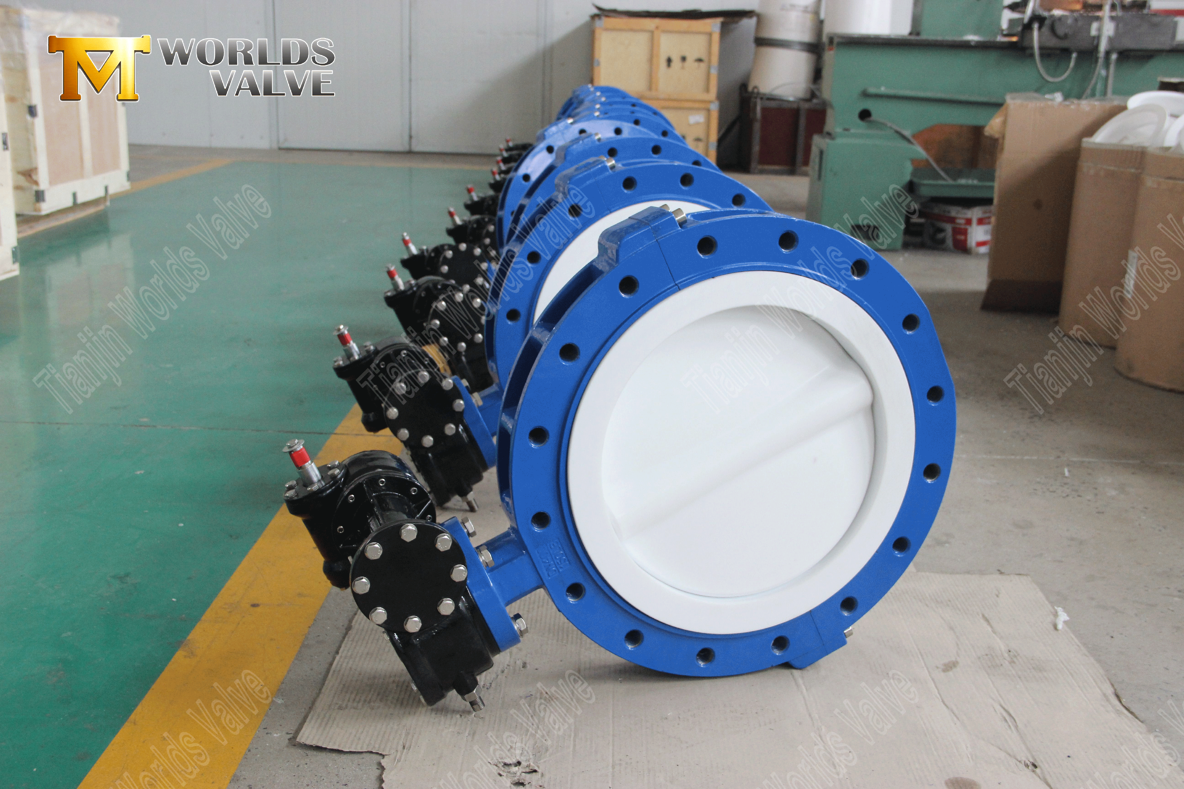 Butterfly Valve Fabrikanten-PTFE Volledig gevoerde LUG Type vlinderventiel (7)