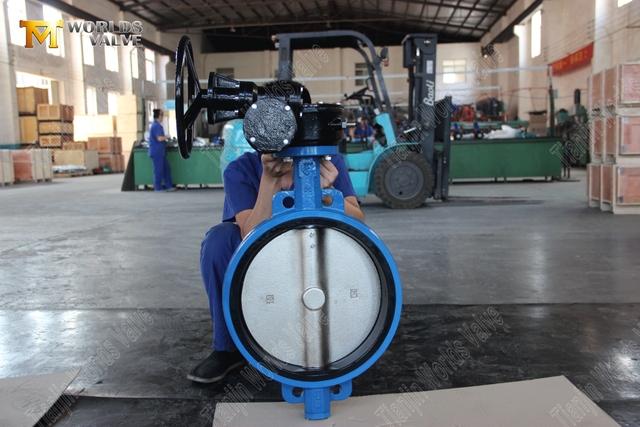 Wormwielwerken Wafer type vlinderventiel met rubber bekleed