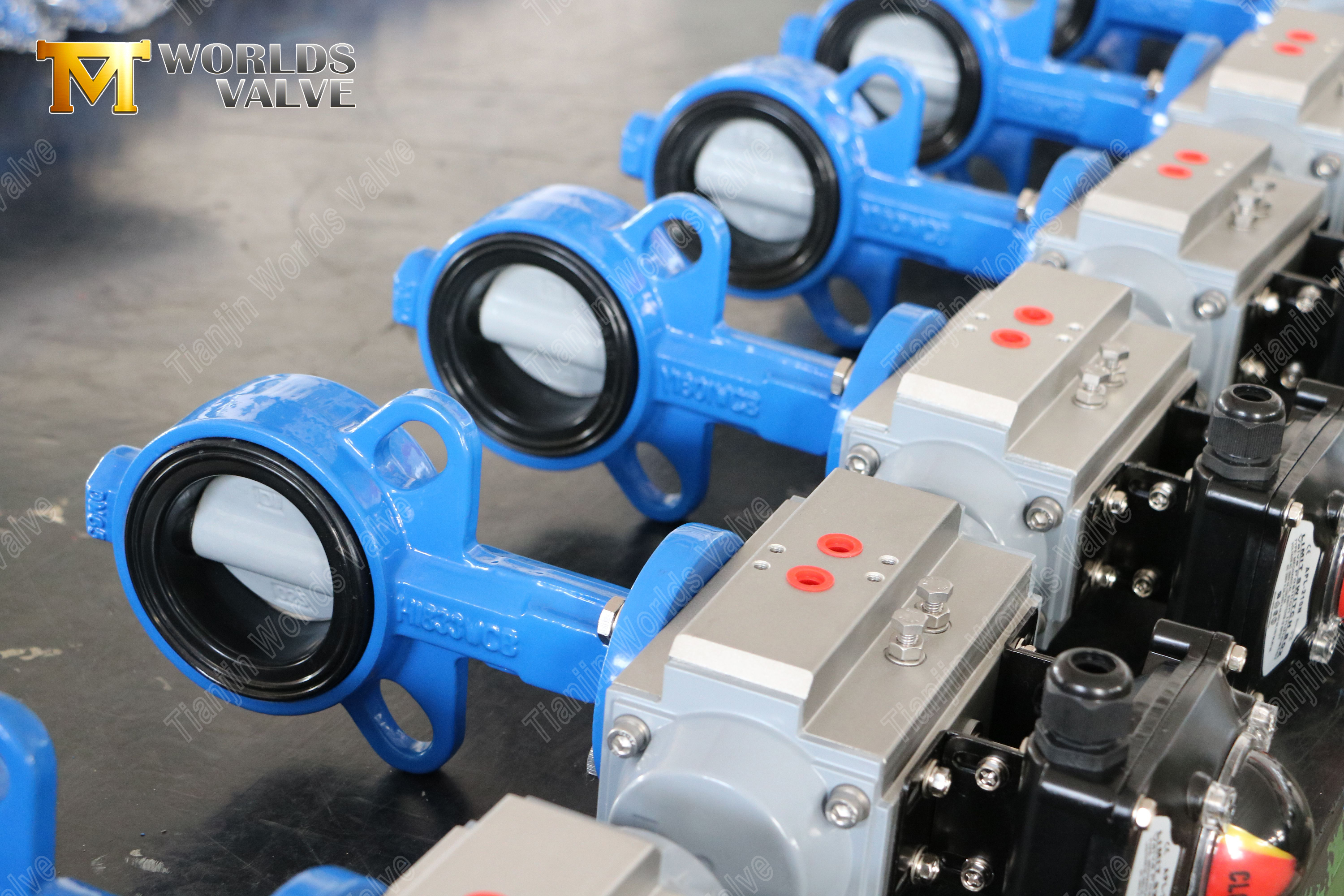 Wafer vlinderklep met nylon gecoate schijf en WCB lichaam kosteneffectieve corrosieweerstand-1 (2)