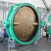 Big Size Dubbel Flens Butterfly Valve met Ali Bronze Disc