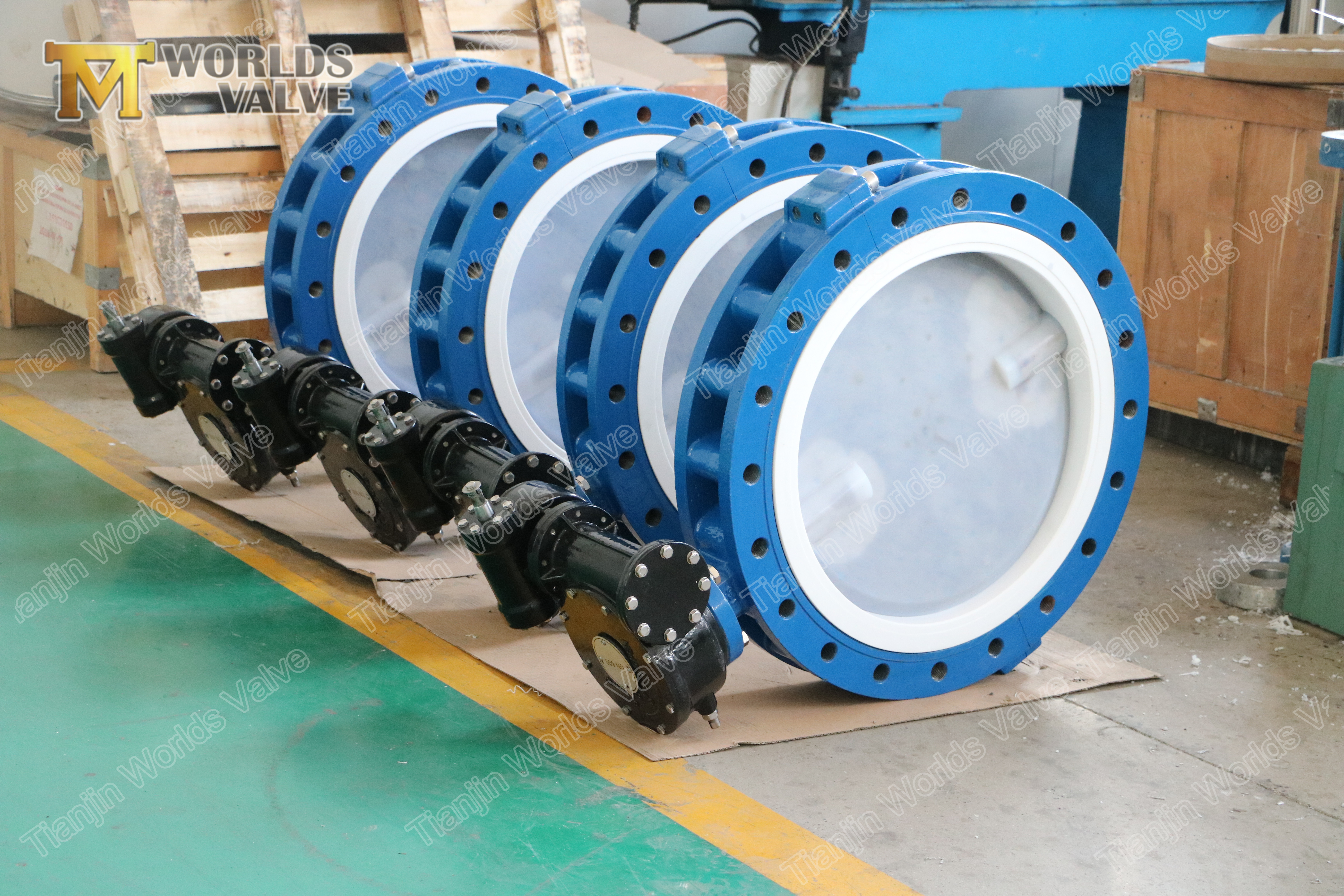 3 Volledige PFA-voering Lug type concentrische vlinderklep