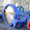 U Type Dubbele Flens Butterfly Valves AS2129 AS4087