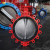 Lug-type vlinderklep met vervangbare EPDM-zitting | DI-body CF8M-schijf | OEM-leverancier