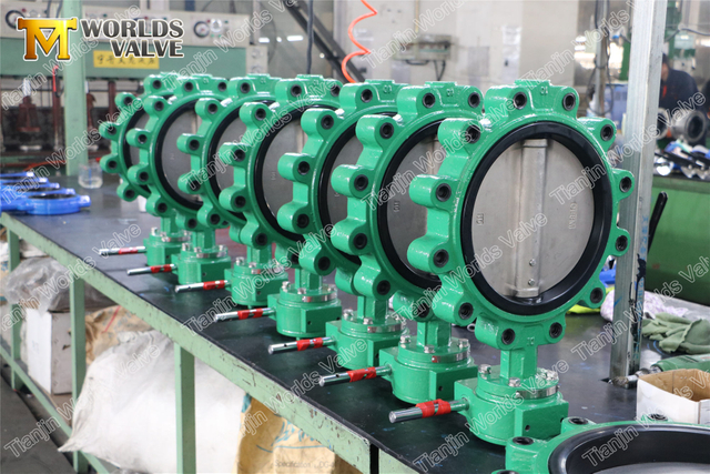 Concentrische Lug Type vlinderklep EN593 API609 Class150