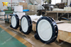 PTFE/PFA Coating Disc Split Body Design Vlinderklep PN10 Class150 PN16